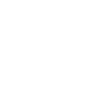CANAL DIGITAL